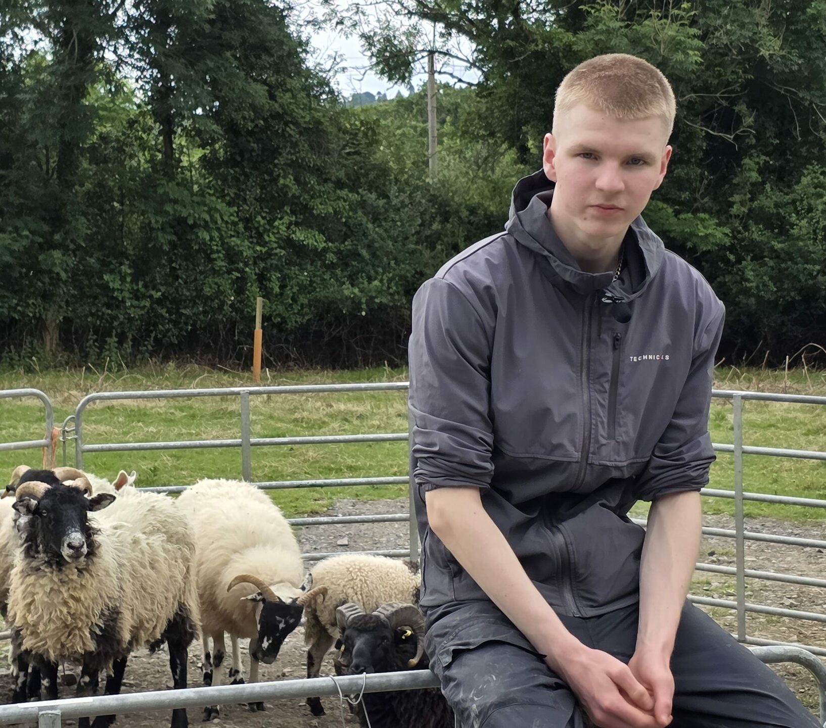 Jonah Fanning is training a sheepdog how to work sheep