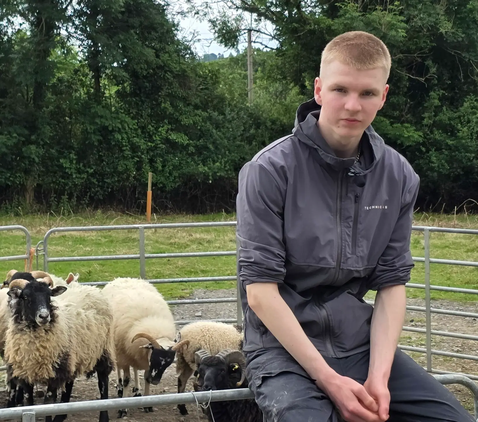 Jonah Fanning is training a sheepdog how to work sheep