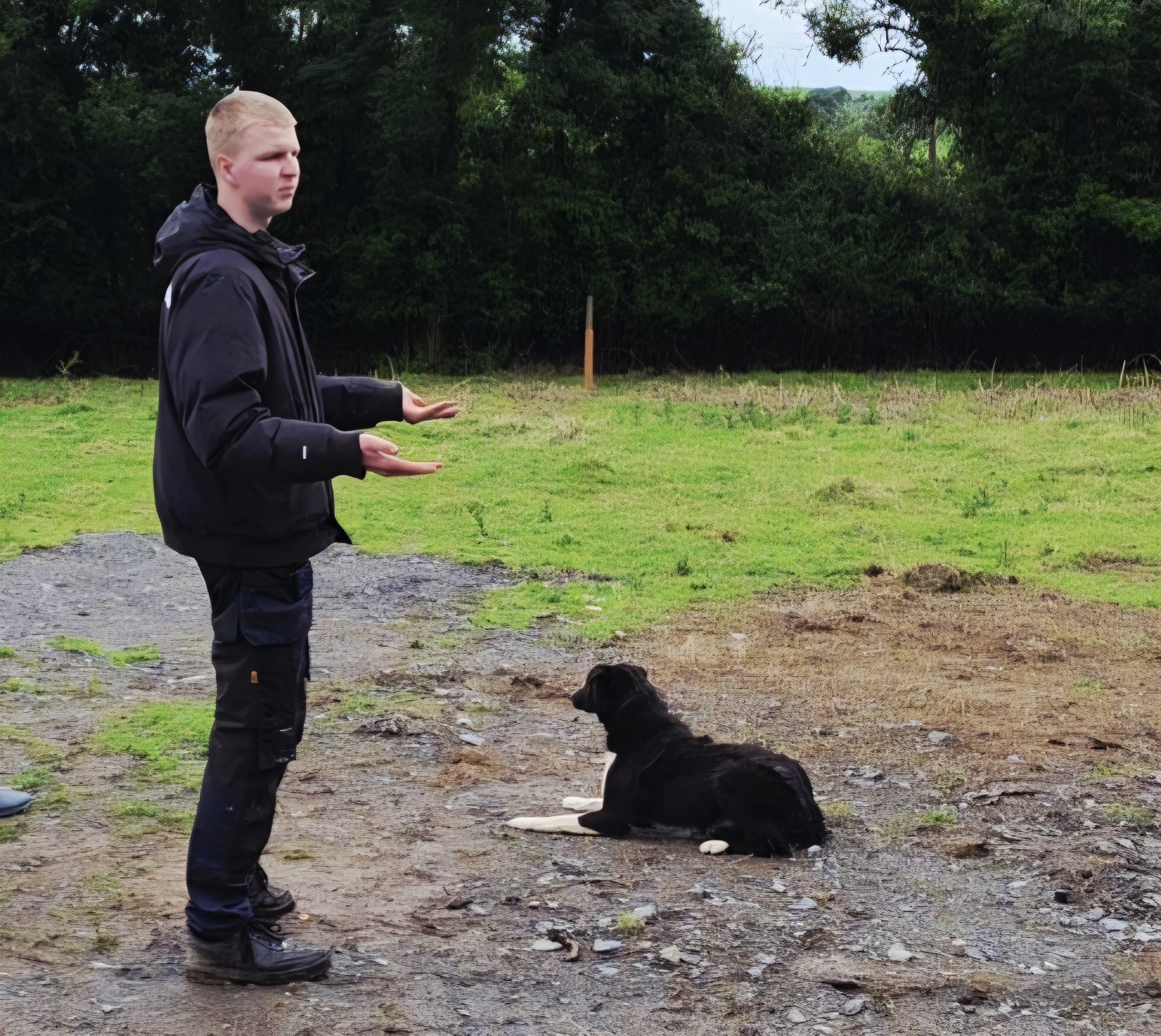 Sheepdog Demonstration in Rathdrum Co, Wicklow